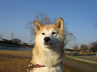 朝から晴天！