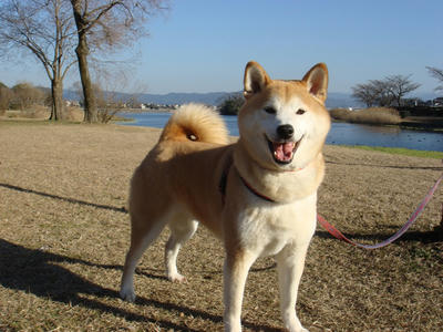 今朝は氷点下1℃！