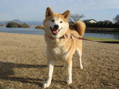 今日もいい天気！