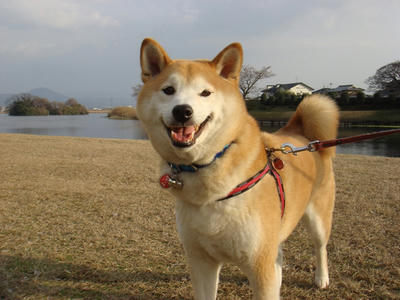 暖かい1日でした！