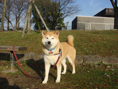 南門前です。