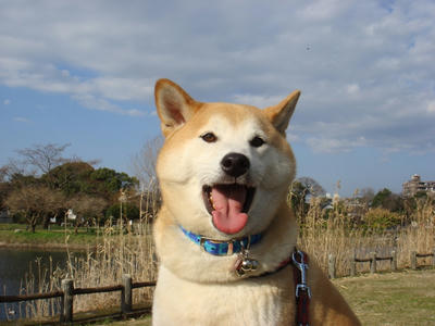 あくびの途中です？