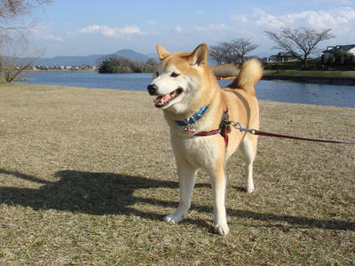 蒸し暑いくらいです？