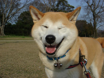 ウィンクのつもり？