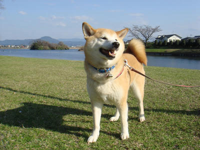 久し振りの青空です！
