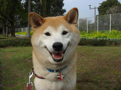 お母さんと逢いました！