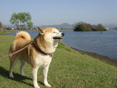 サイコーに気持ちイー！