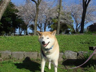 南門前です！