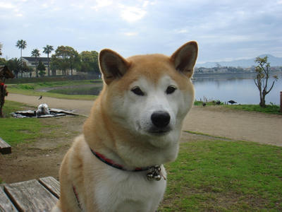 曇りのち晴れ！