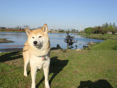 普賢岳が見えます！