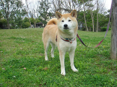 くもりです！