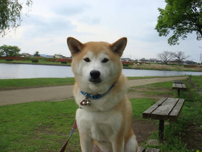 水前寺江津湖公園！