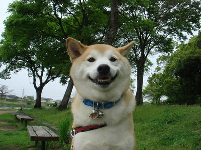 含み笑い？