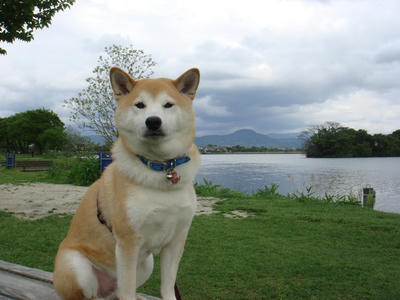 久し振りの曇りです。