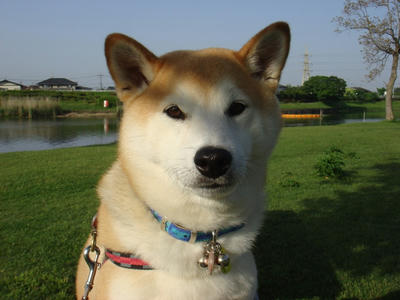 今日も良い天気です。