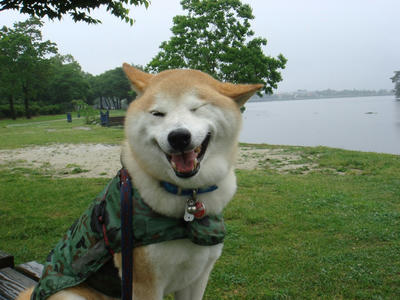 今日は1日中、雨でした！