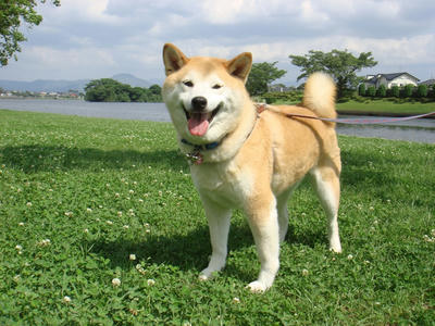 久し振りのお日さま！