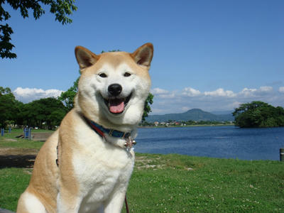 群青！