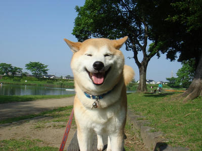お父さん！眩しいよ！
