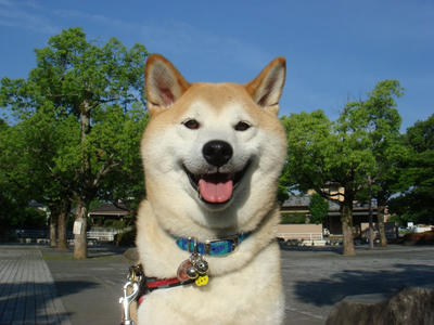 スッキリ！青空！