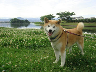 久し振りに、ミッケ！