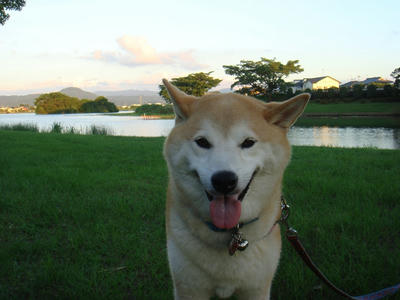 夕陽がきれい！