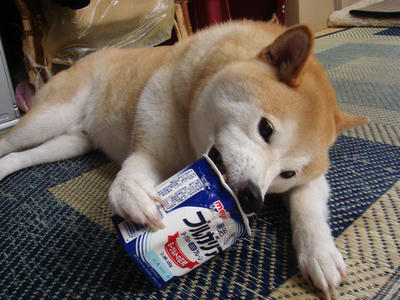 無我夢中です！