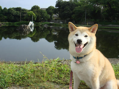 象さんのプールです！