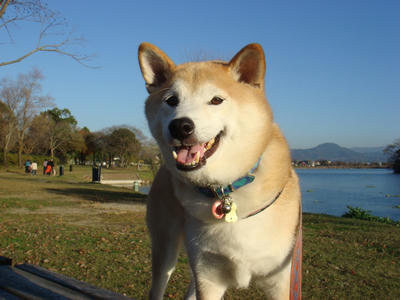 お日様は暖かい！