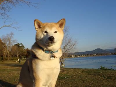 冷たい風！