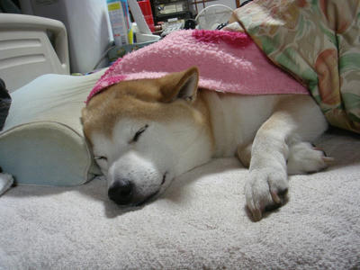 今朝、5時41分。