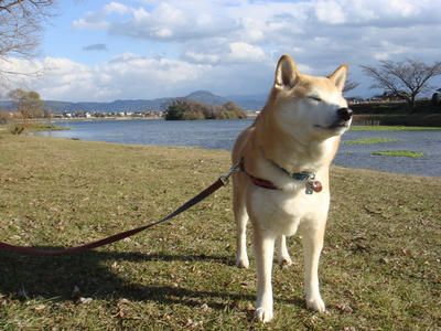 考える？こうたろうです！