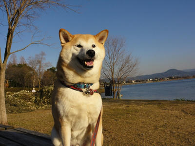 ドピーカン！