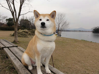 寒い日が続きます！