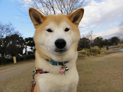寒い日が続きます！