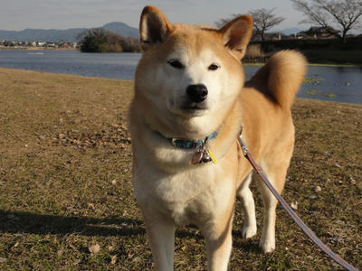 久し振りの青空！