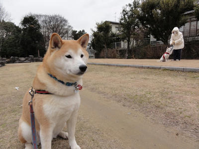 Qooちゃん！