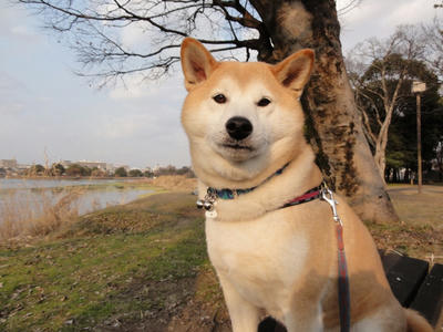 寒い日が続きます！
