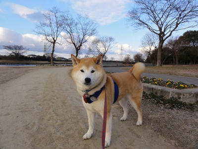 東の空は曇り！