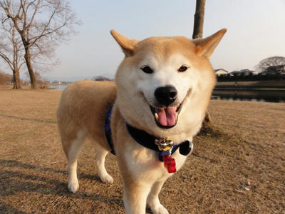 今日も良い天気！