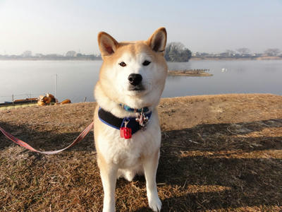 朝は寒かったです！