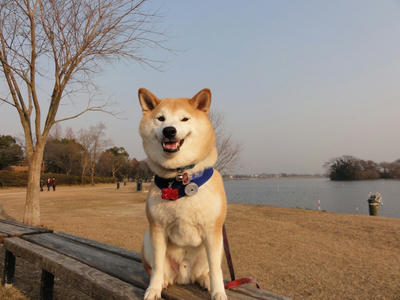 何でか？霞んでいます？
