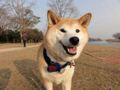 中国の厄介物？