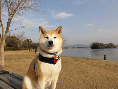 久し振りの好天気！