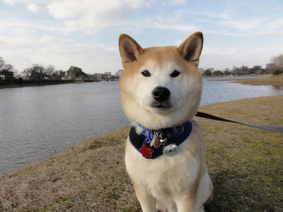 暖かい一日でした！