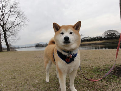朝は寒かったです！
