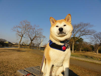 素晴らしい、青空！