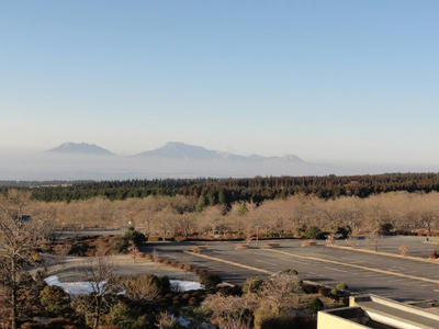 涅槃像です！