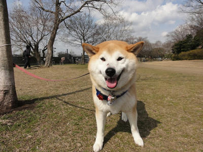 アレルギー？虫刺され？