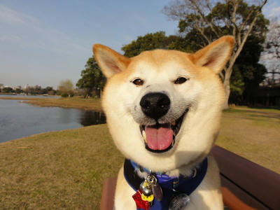 もう？初夏です？